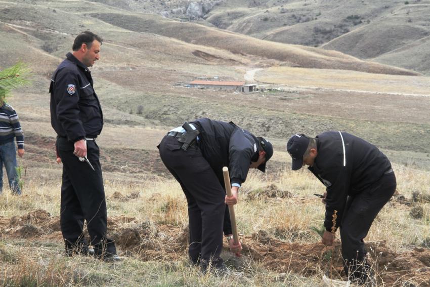 Polisler Eğrim Dağında Bin Ağacı Toprakla Buluşturdular