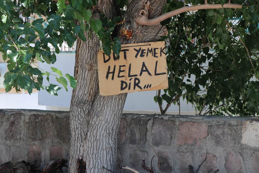 Bu ağaçtan dut yemek helaldi