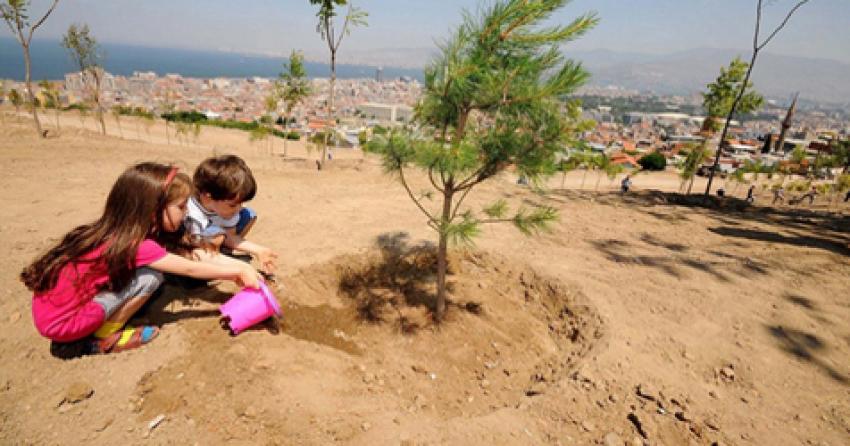 Ürgüp’te Hafta Sonu Fidan Dikimi Yapılacak