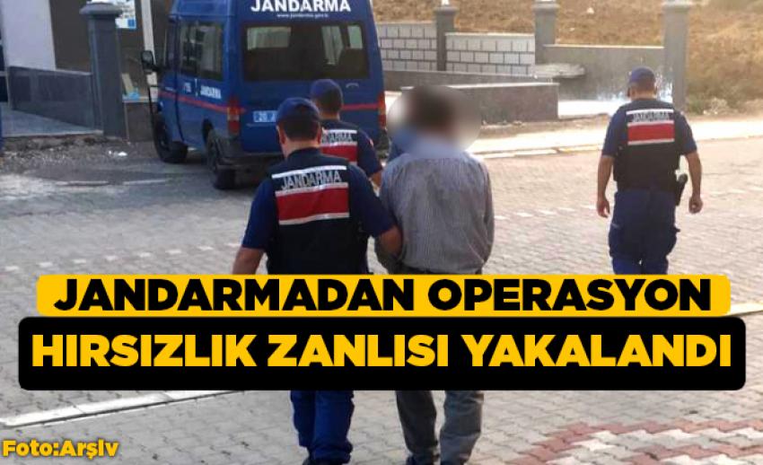 Jandarma’dan Ev Hırsızına Operasyon