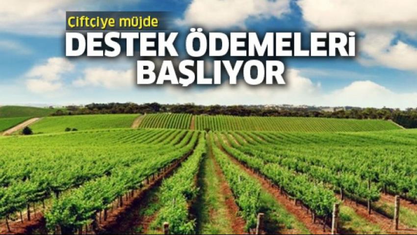 Bitkisel Üretim Destekleme Ödemeleri Başladı