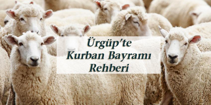Bayram Süresince Bu Habere Dikkat!