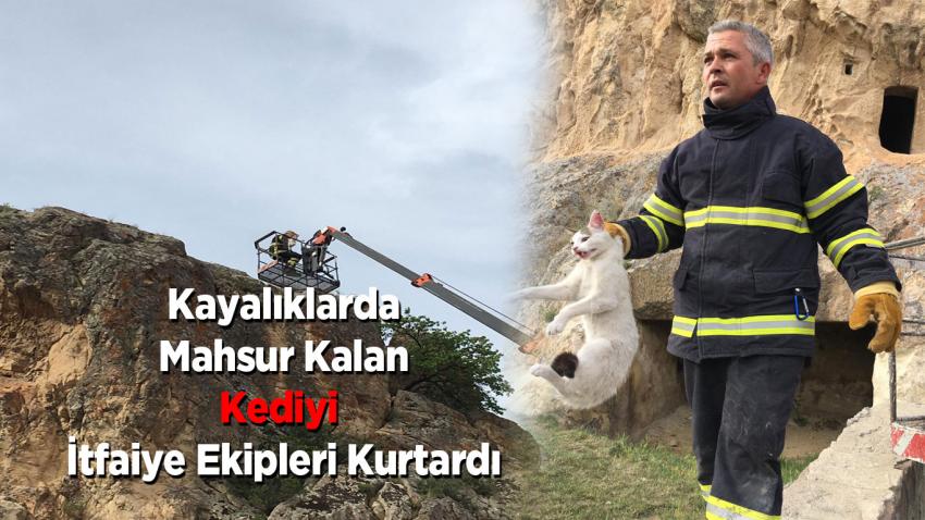 Kayalıklarda Mahsur Kalan Kediyi İtfaiye Ekipleri Kurtardı