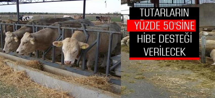2017 Yılı % 50 Hibeli Ahır ve Ağıl Yapımı Destek Müracatları Başladı