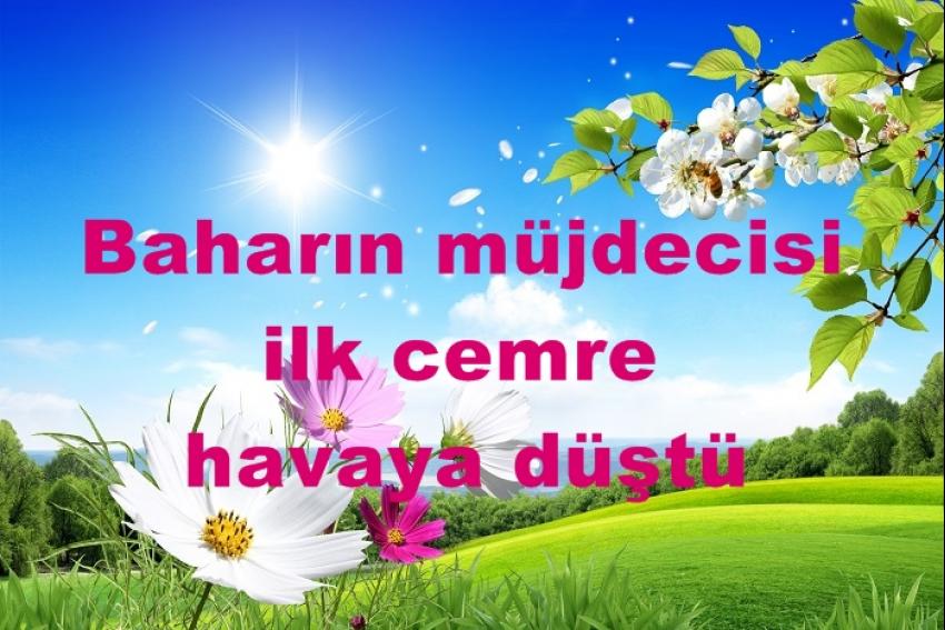 Baharı Müjdeleyen İlk Cemre Bugün Düştü
