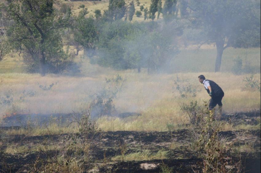 Arazi Yangınları, Doğal ve Ekoloji Dengeyi Yok Ediyor