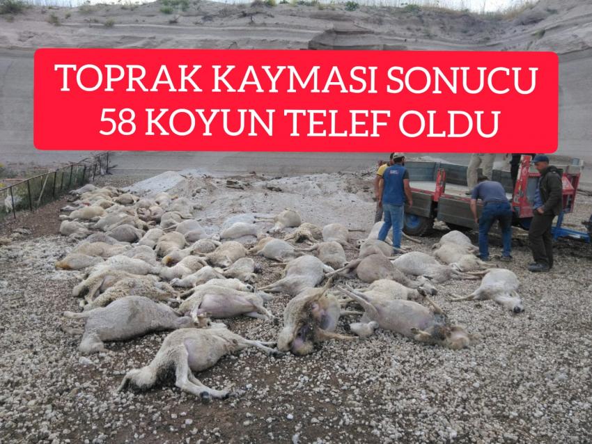 Bahçeli köyünde toprak kaydı, 58 koyun telef oldu