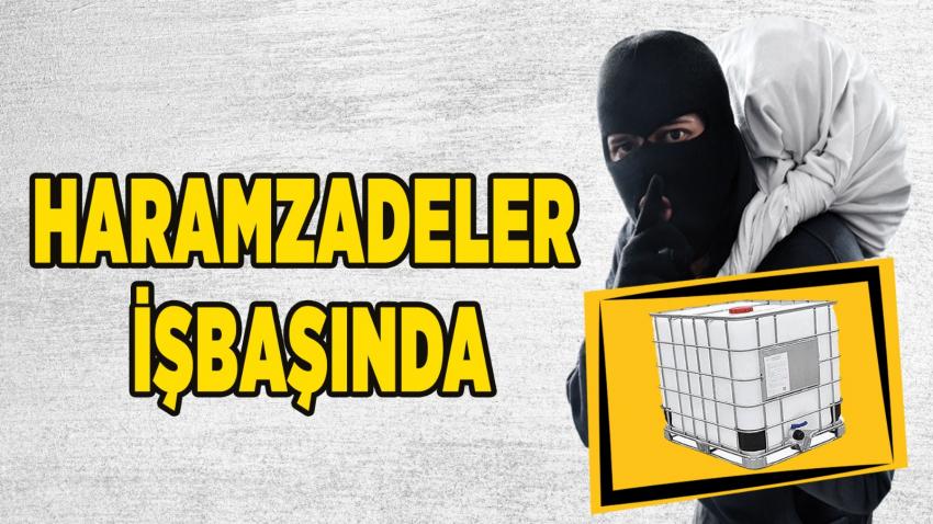 Ürgüp Ziraat Odası Uyardı 'Haramzade Hırsızlar Arazileri Hedef Aldı'