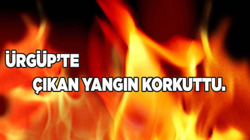 Ürgüp'te Çıkan Yangın Korkuttu