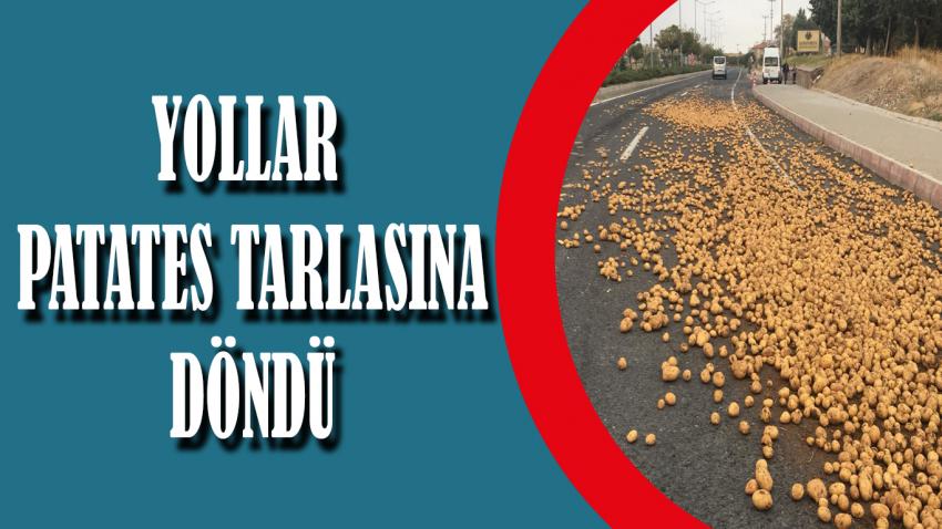 Patates Yola Saçıldı, Vatandaş Akın Etti