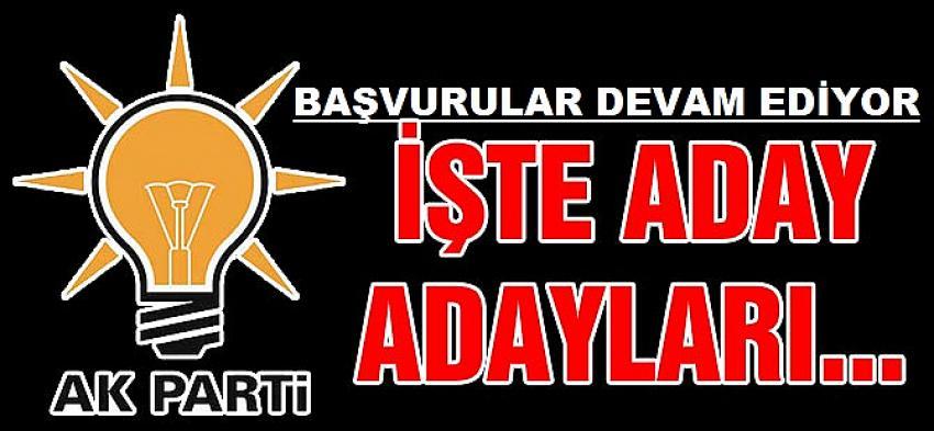 AK Parti Aday Adayları Resmi Başvuru Yapanlar Listesi