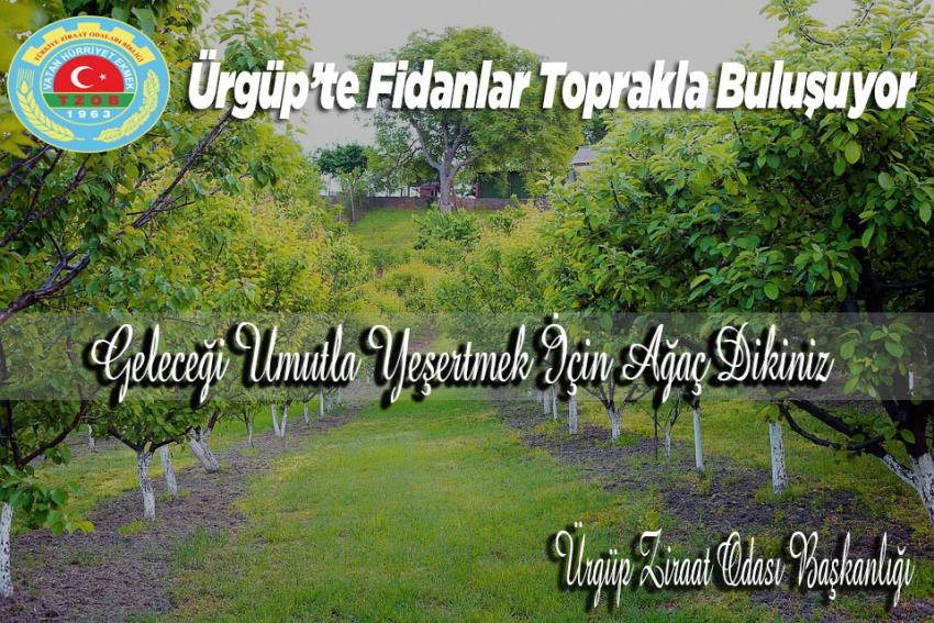 Korkmaz 'Geleceği umutla yeşertmek için fidan dikiniz'