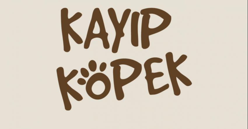 Kayıp Köpek Goffy Aranıyor