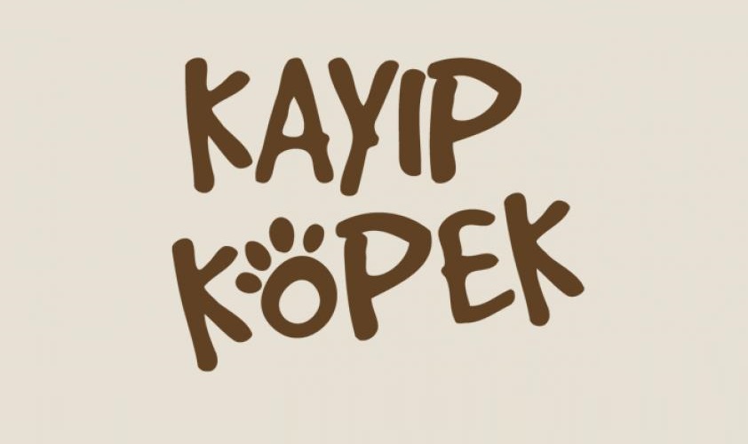 Bahçelievler Mahallesinde Kayıp Olan Köpek Aranıyor