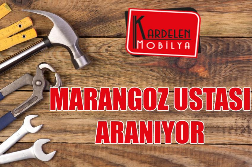 MARANGOZ USTASI ARANIYOR