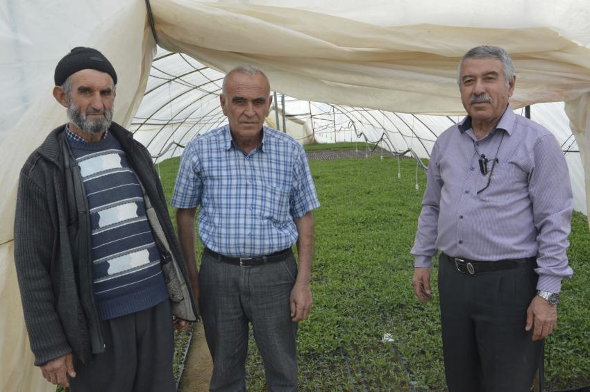 Bu köyde herkes geçimini fide yetiştiriciliğinden sağlıyor