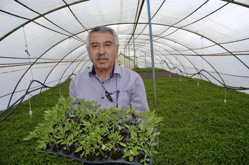Başkan Korkmaz 'Sarıhıdır Köyümüzde Fide Sezonu Açıldı''