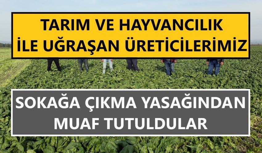 Üretici Çiftçilerimiz Sokağa Çıkma Yasağından Muaf Tutuldu
