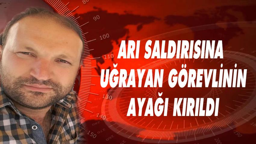 Arı Sokan Tekniysen Direkten Düştü