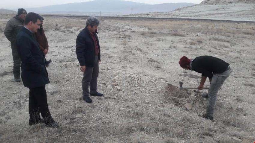 Şehit Kaymakam Safitürk Anısına Hatıra Ormanı Oluşturuldu