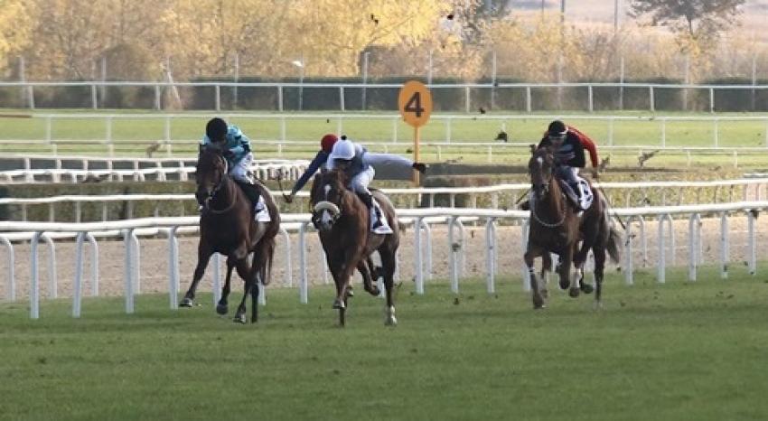 TJK Peri Bacaları Koşusu Düzenlendi