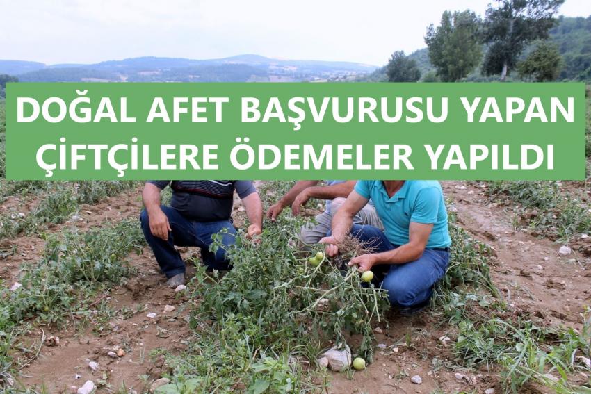 Doğal Afet Başvurusu Yapan Çiftçilere Ödemeler Yapıldı