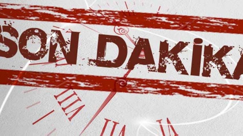 Yaban Domuzu Şehre İndi