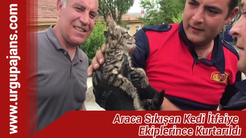 Araca Sıkışan Kedi İtfaiye Ekiplerince Kurtarıldı