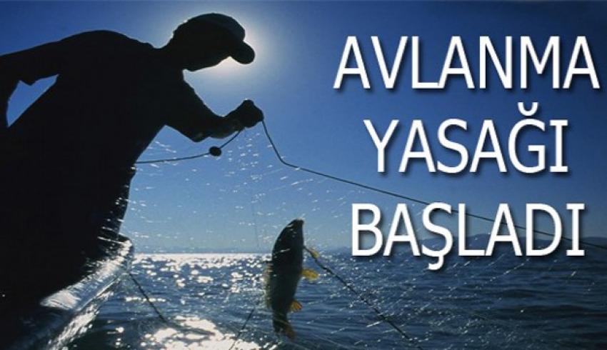 Su Ürünleri Av Yasağı Başladı