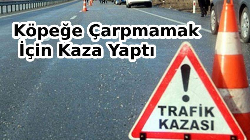 Köpeğe Çarpmamak İçin Kaza Yaptı