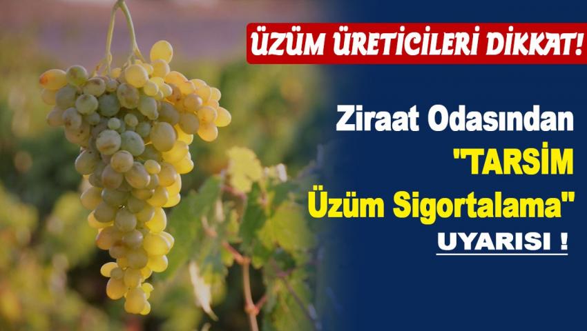 Üzüm Üreticileri için TARSİM Sigorta Son Günü 15 Şubat