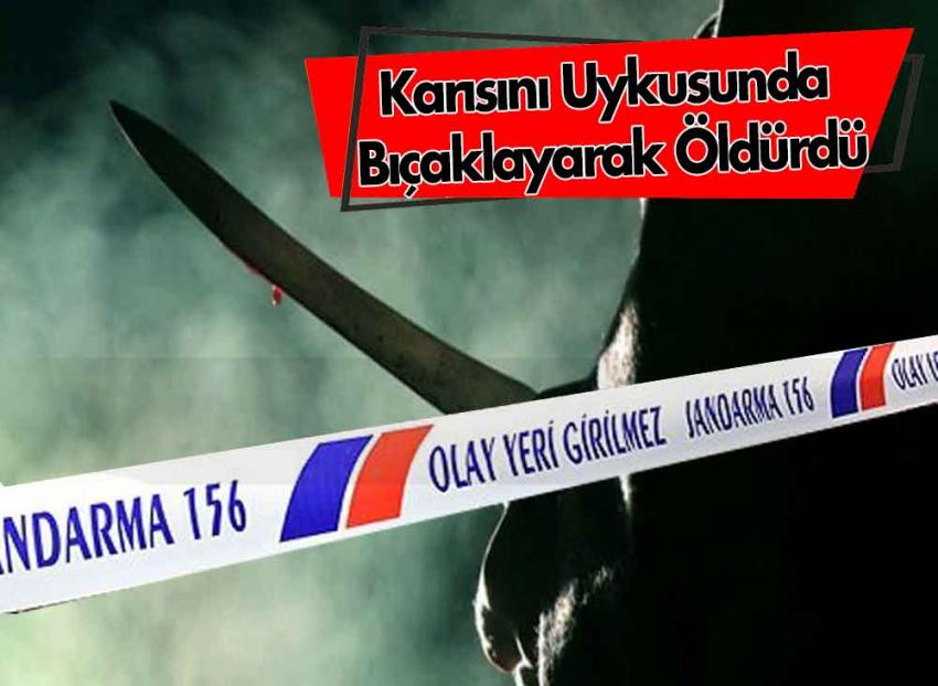 Eşini uykusunda bıçaklayarak öldürdü