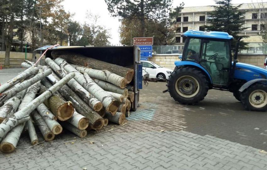Tomruk Yüklü Römork Devrildi