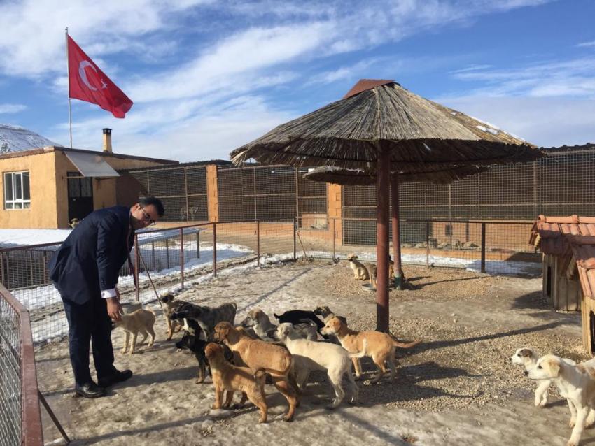 MHP Adayı Hasan Erdoğan'dan 'Köpek Barınağına Destek' Çağrısı