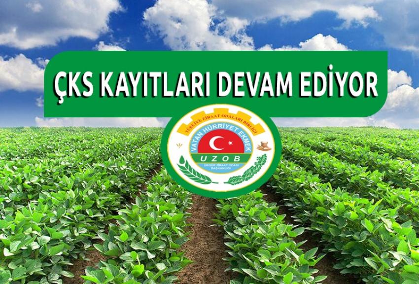 ÇKS Kayıtlarında Son 20 Gün, 30 Haziran'da Bitiyor