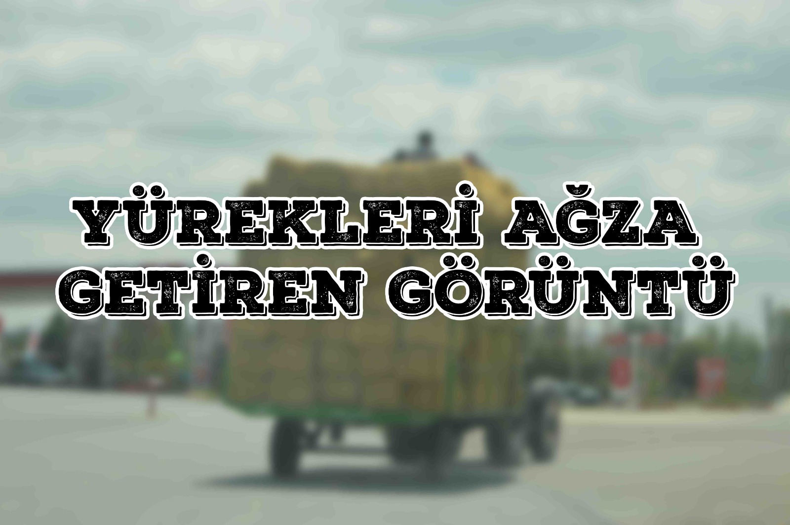 Yürekleri Ağza Getiren Görüntü
