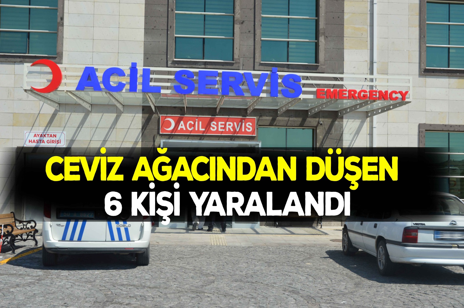 Ürgüp'te bir haftada 6 kişi ceviz ağacından düştü