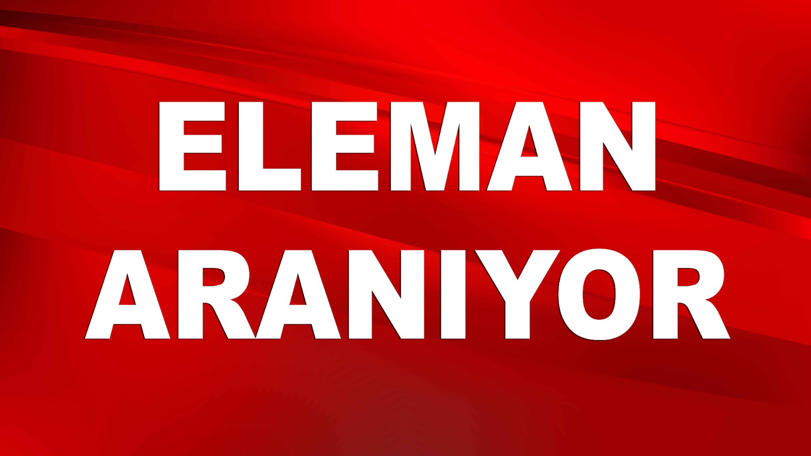 Vasıflı Vasıfsız 5 Eleman Aranıyor