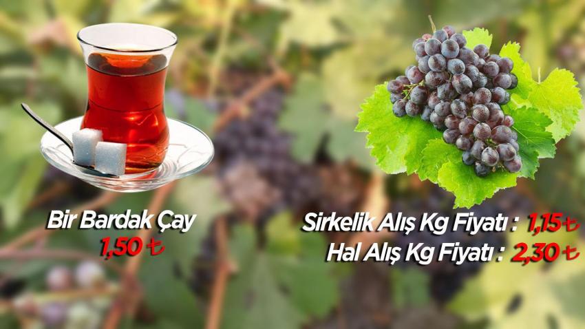 Üzüm üreticileri bu yılda umduğunu bulamadı