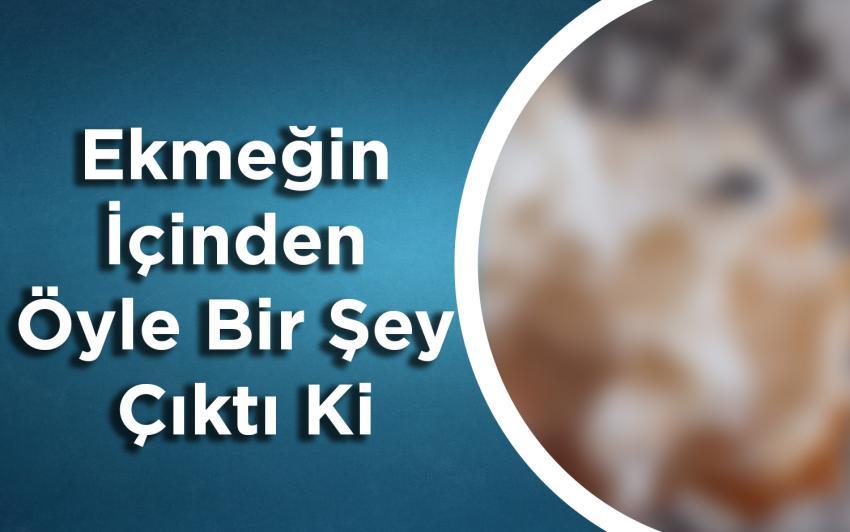 Ekmeğin İçinden Öyle Bir Şey Çıktı ki
