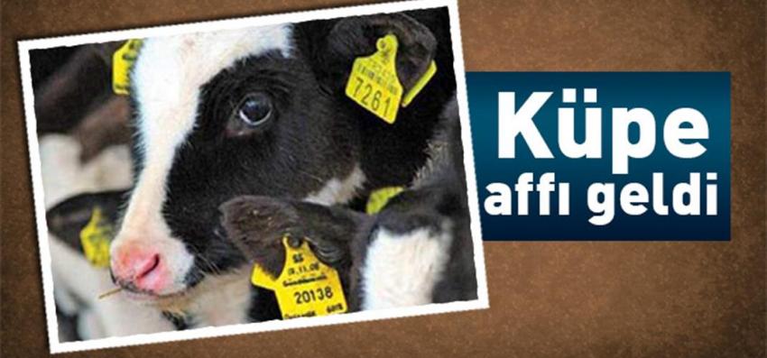 Küpe Affında Son Gün 31 Mart 2019